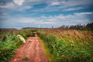 Travel_Photography_Blog_PEI_North_Cape_Hiking_Trail (1)