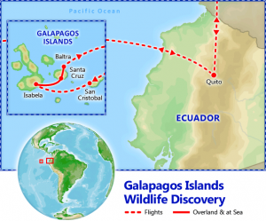 galapagos-islands-wildlife-discovery-big